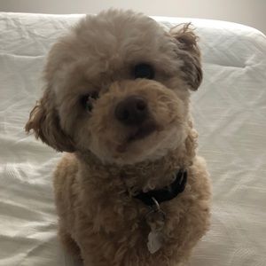 Meet your Posher, Nella